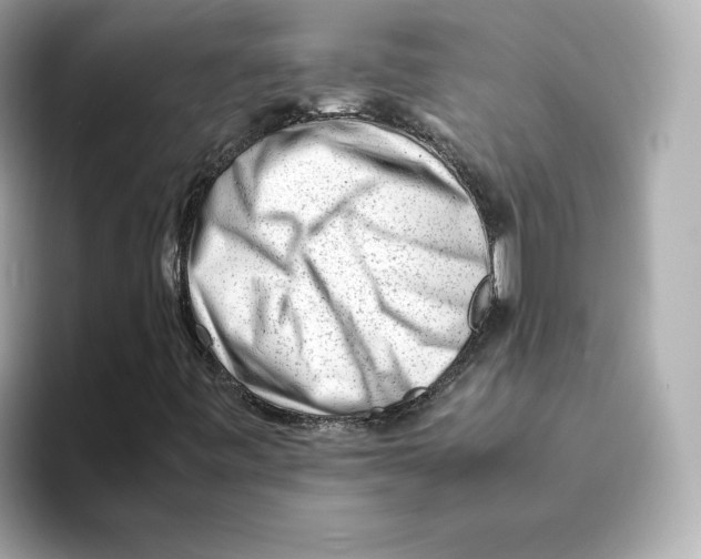 X0000095691443200802051303