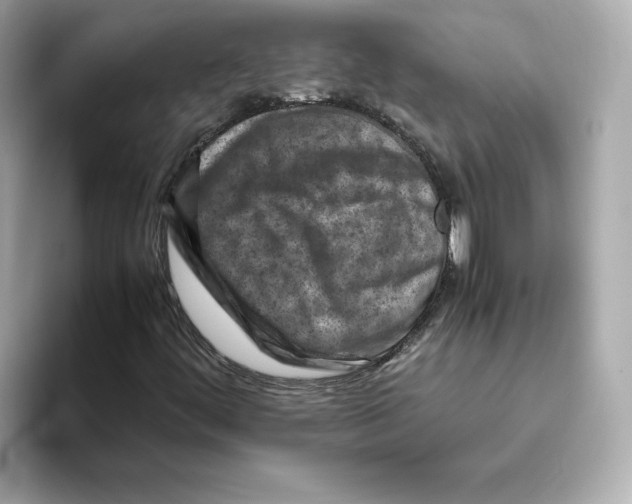 X0000095691444200802051303