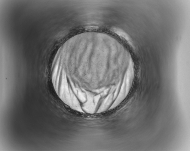 X0000095691445200802051303