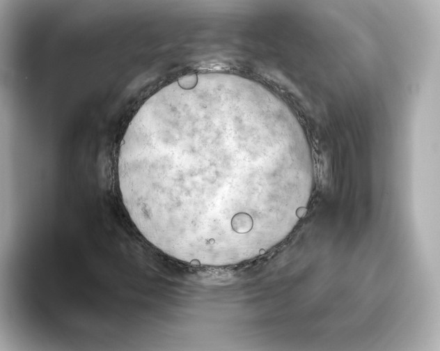 X0000095691446200802051303