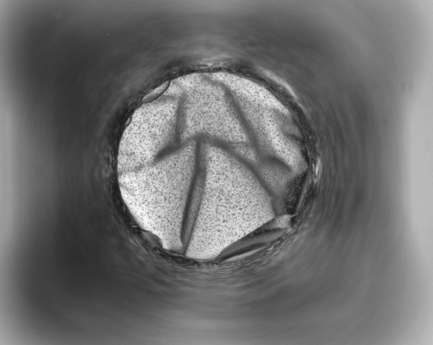 X0000095691447200802051303