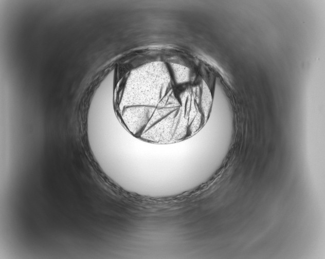 X0000095691448200802051303