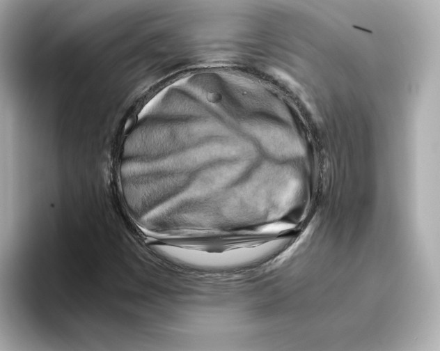 X0000095691449200802051303