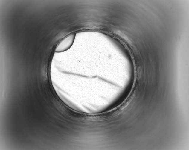 X0000095691451200802051303