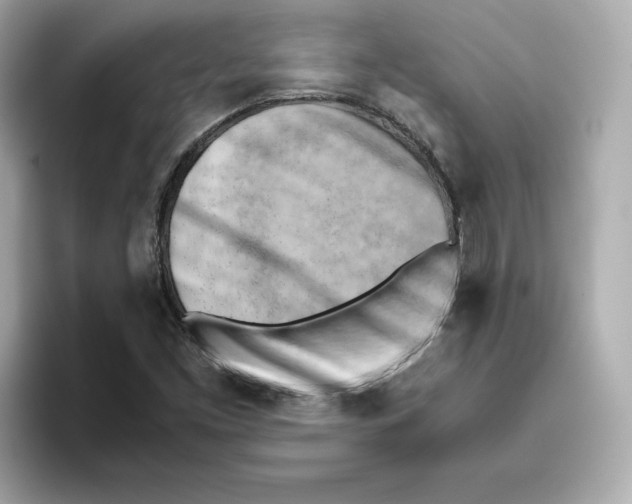 X0000095691453200802051303