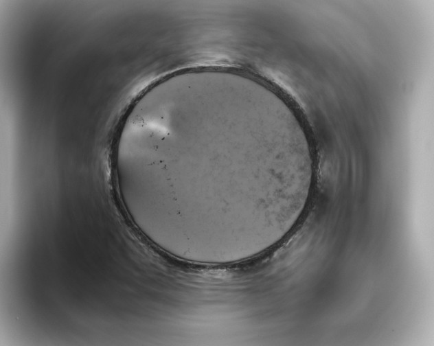 X0000095691455200802051303