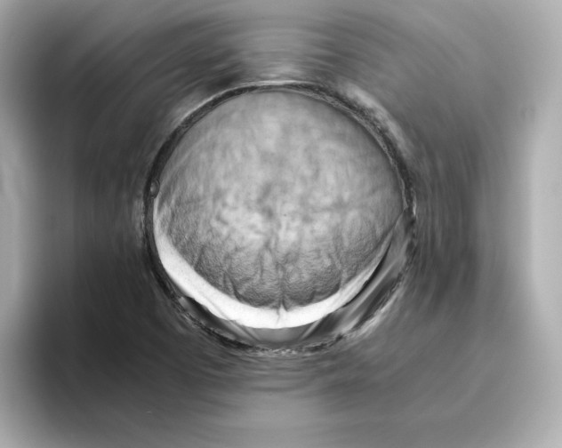 X0000095691457200802051302