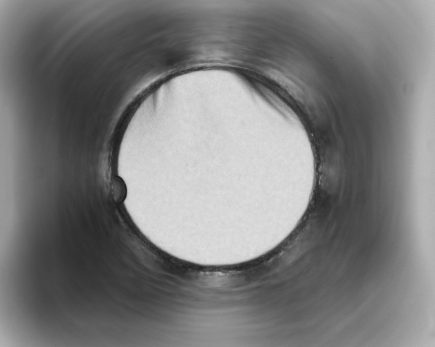 X0000095691458200802051302