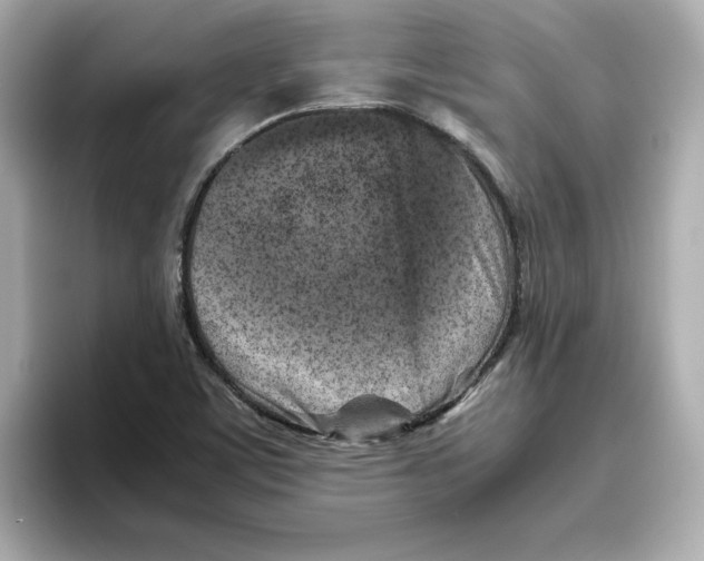 X0000095691459200802051302