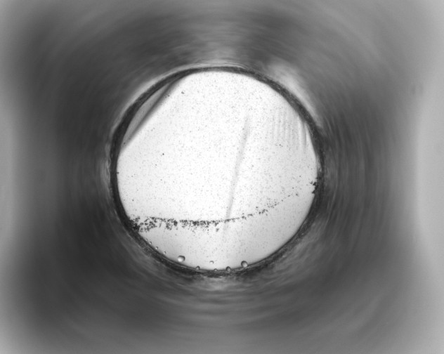 X0000095691460200802051302