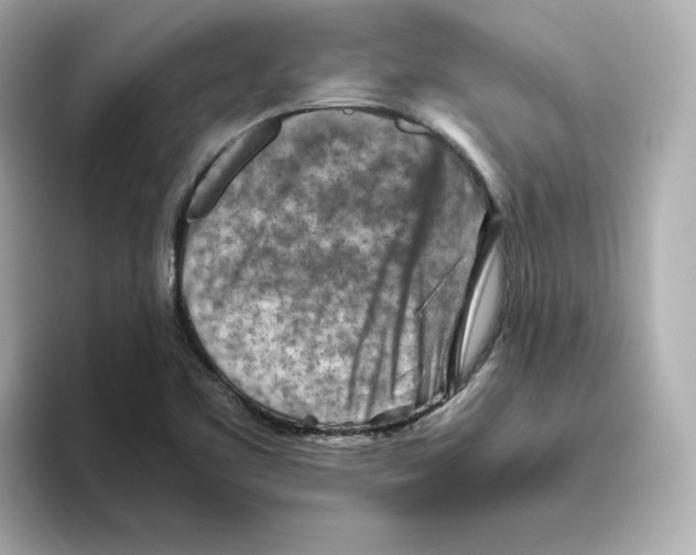 X0000095691461200802051302