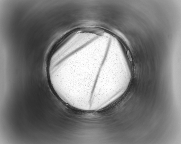 X0000095691464200802051302