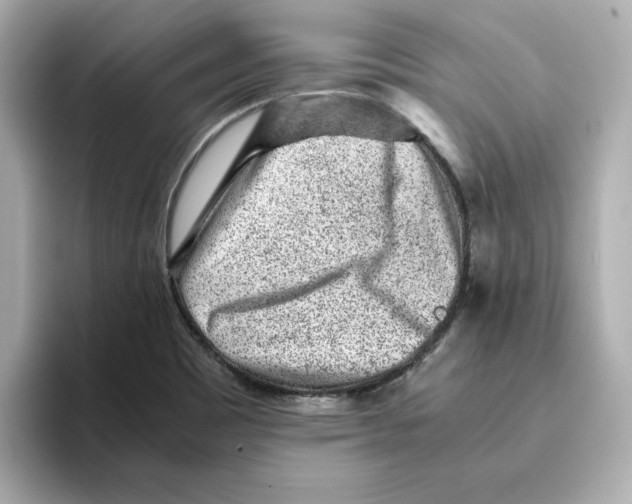 X0000095691465200802051302