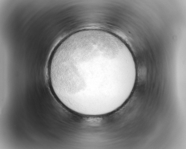 X0000095691466200802051302