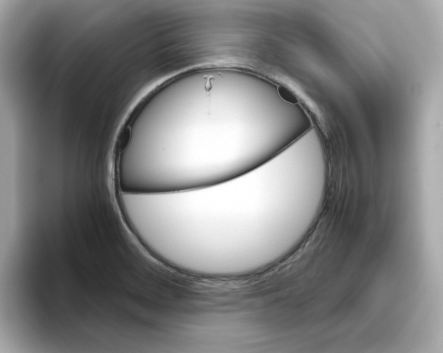 X0000095691468200802051302