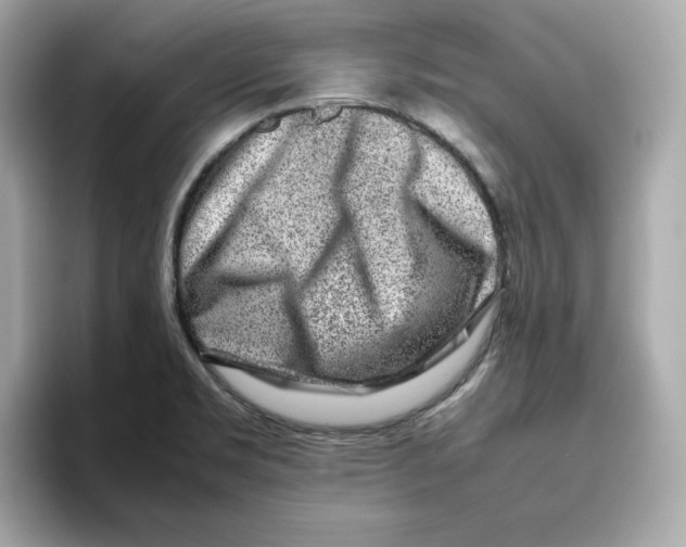 X0000095691469200802051302