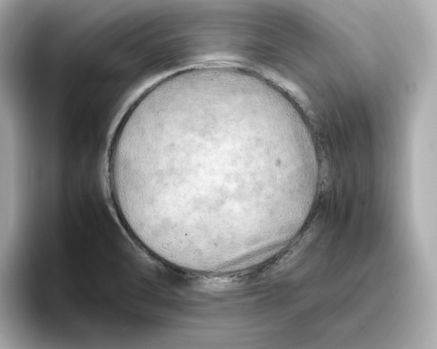 X0000095691470200802051302