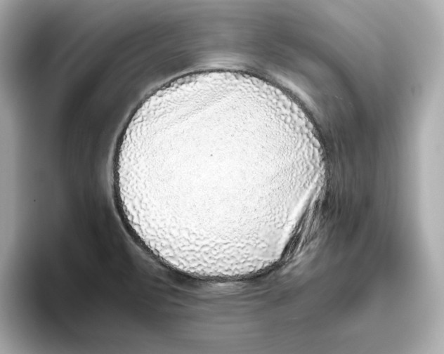 X0000095691471200802051302