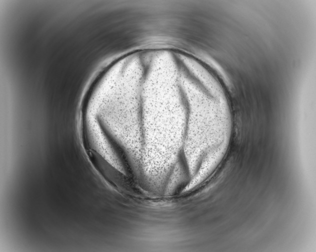 X0000095691472200802051302