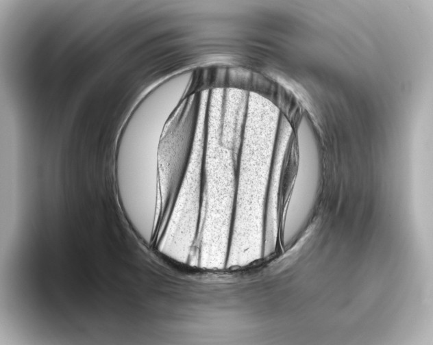 X0000095691473200802051302