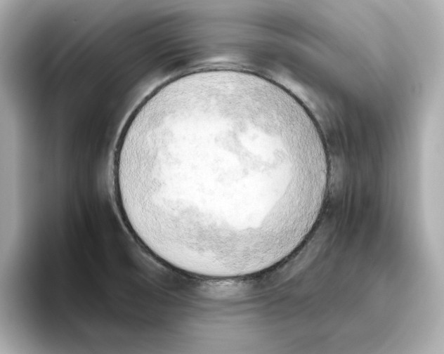 X0000095691474200802051302