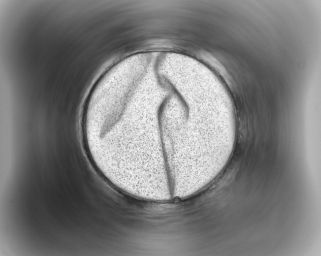 X0000095691475200802051302