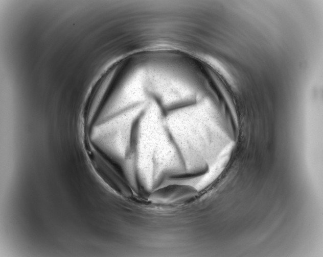 X0000095691476200802051302