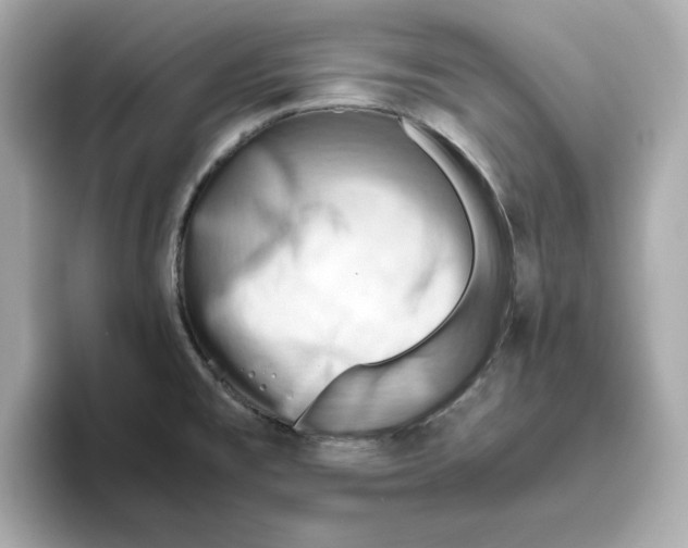 X0000095691477200802051302