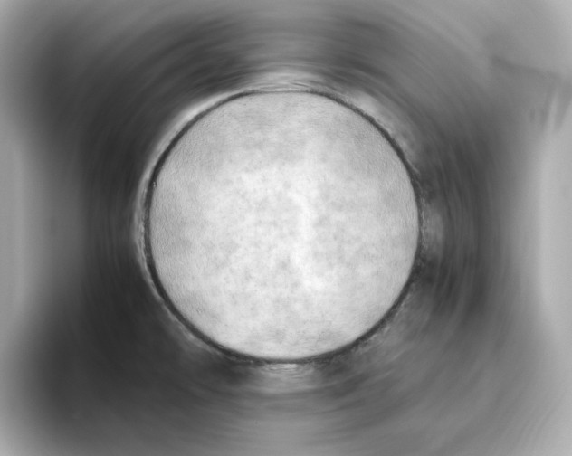 X0000095691478200802051302