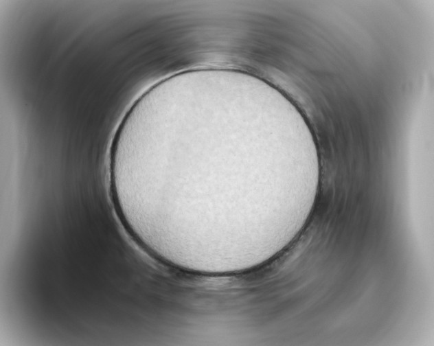 X0000095691479200802051302