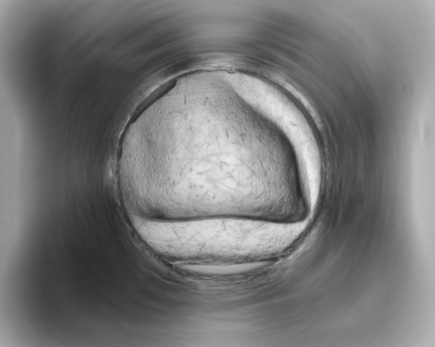 X0000095691481200802051302