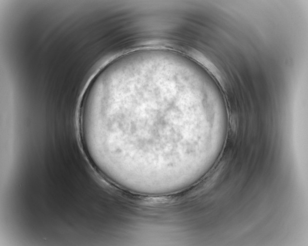 X0000095691482200802051302