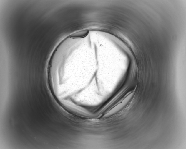 X0000095691483200802051302