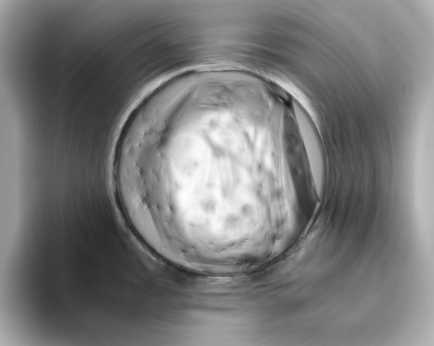 X0000095691485200802051302