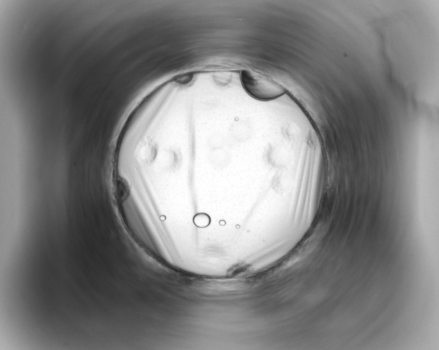 X0000095691486200802051302