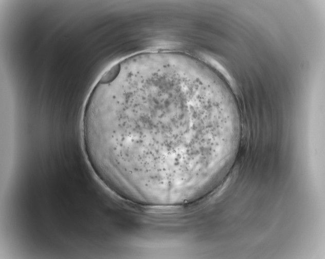 X0000095691487200802051302