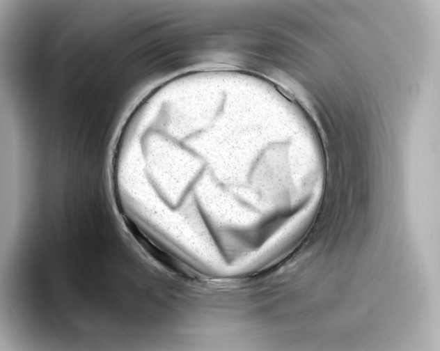 X0000095691488200802051302