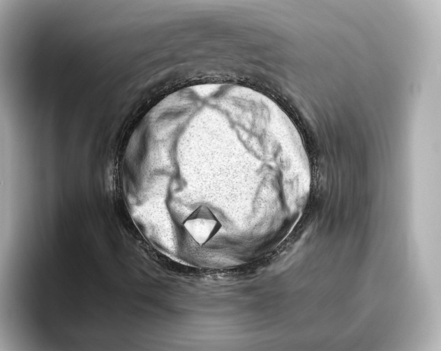 X0000095691490200802051301