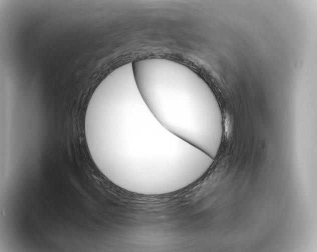 X0000095691492200802051301