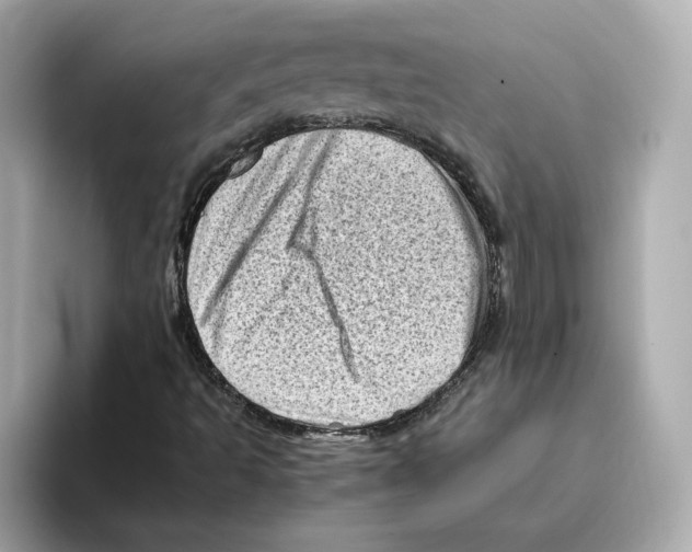 X0000095691493200802051301