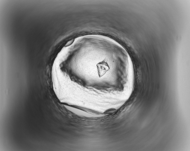 X0000095691494200802051301