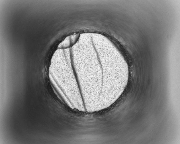 X0000095691495200802051301