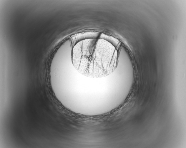 X0000095691496200802051301