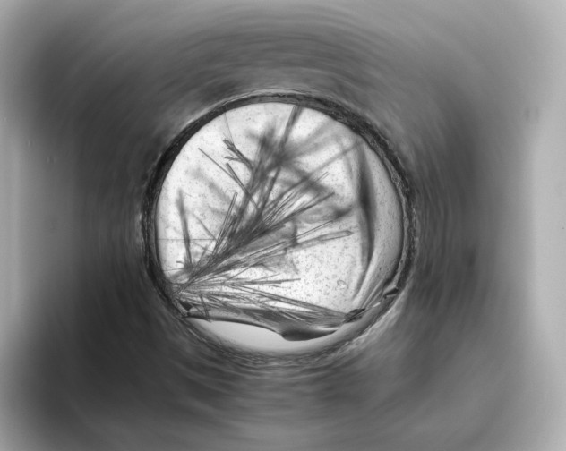 X0000095691497200802051301