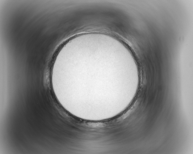 X0000095691498200802051301