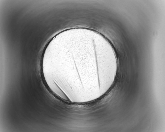 X0000095691500200802051301