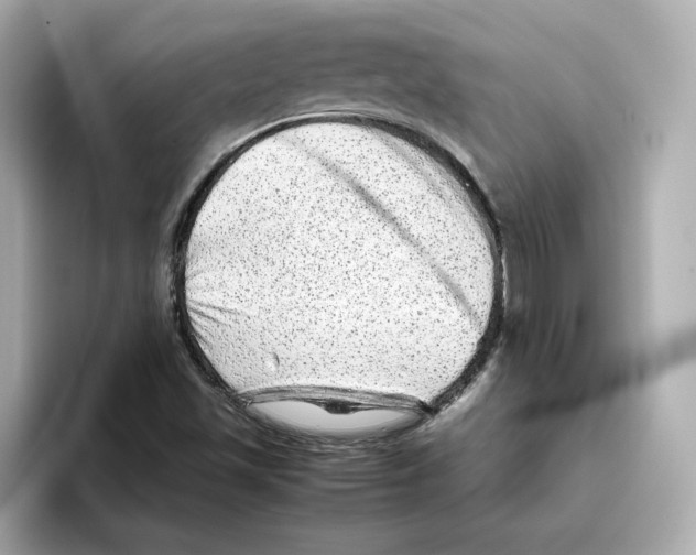 X0000095691501200802051301