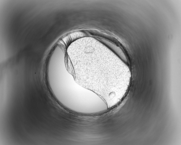 X0000095691502200802051301