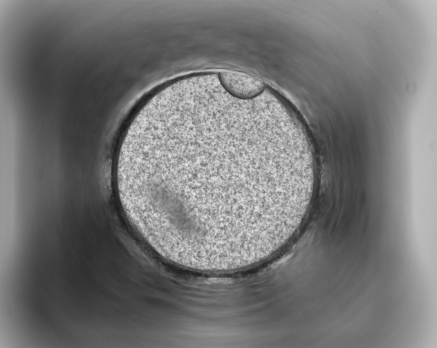 X0000095691503200802051302