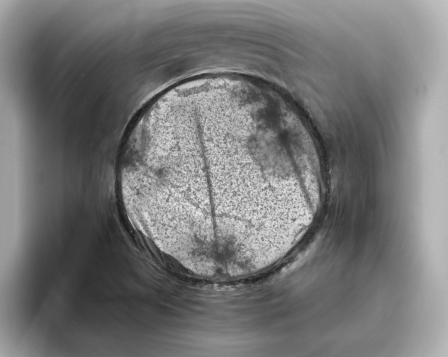 X0000095691505200802051302